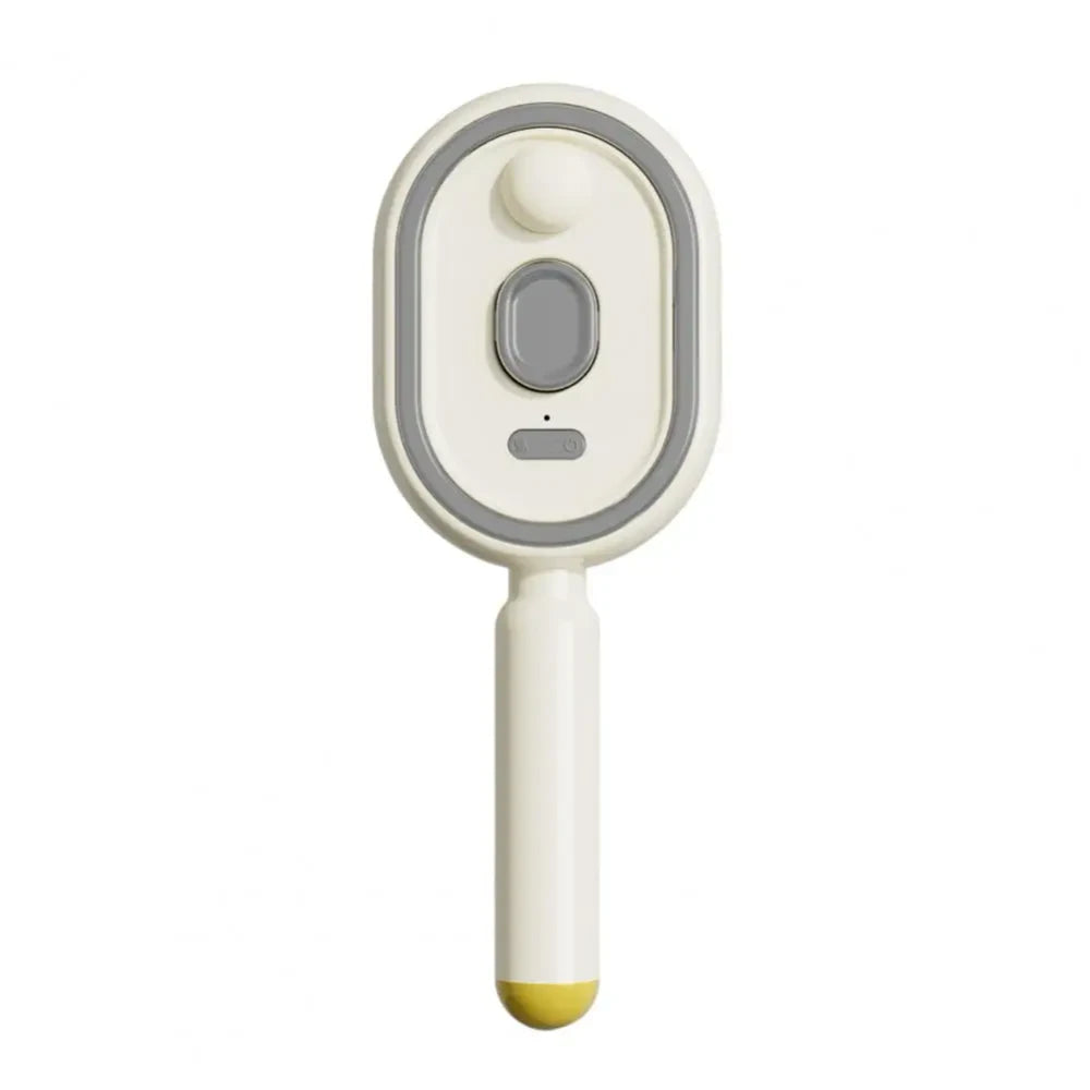 Electric Mist Detangling Hairbrush