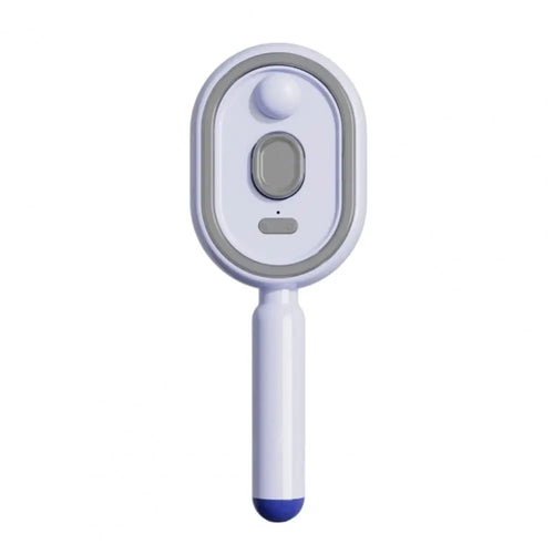 Electric Mist Detangling Hairbrush